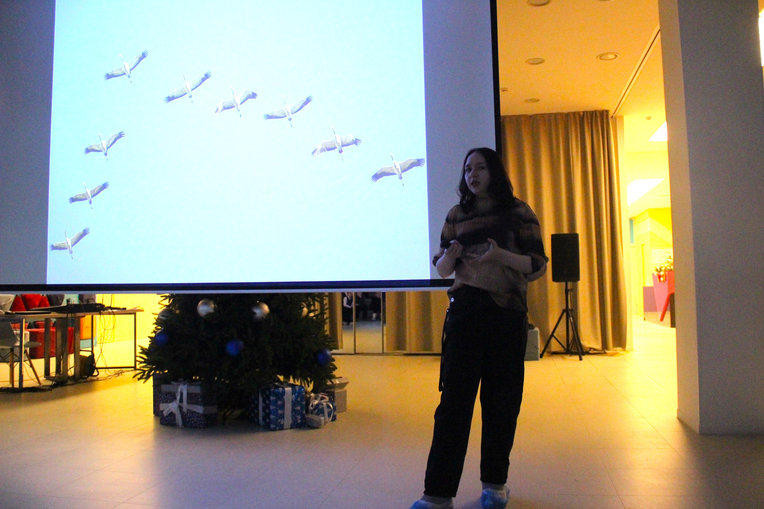 Что мы знаем о птицах?